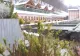 Maramureș, colț de Rai pentru turiști. Cum a fost creată prima păstrăvărie privată din țară - Lostrița. VIDEO