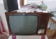 Adevărul despre peştele de sticlă pus de bunici şi părinţi pe TV. Ce reprezintă el, de fapt