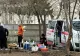 Scene ȘOCANTE în Constanța. Purcei aduși cu ambulanța și sacrificați într-un parc
