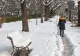 Vremea de CRĂCIUN în fiecare regiune din România: Unde cad ninsori și ploi - Prognoza ANM actualizată până pe 25 decembrie