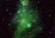 Crăciunul în spațiu. NASA a dezvăluit un adevărat „brad cosmic” 