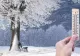 Șefa ANM anunță schimbarea radicală a vremii în această săptămână - Ninsori și minime chiar și de -11 grade Celsius