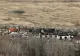 Copiii care au murit în flăcări la Ferma Dacilor NU aveau pe unde să coboare de la mansardă. Dinicu a scăpat pentru că avea ieșire separată. Cum au fost cazate victimele - GRAFICĂ