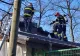 Incendiu la Grădina Zoologică din Râmnicu Vâlcea: acoperișul pavilionului cu maimuțe a luat foc