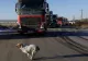 Fermierii și transportatorii blochează centura Capitalei. SURSE: Negocierile cu Ciolacu au eșuat - LIVE 