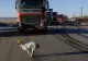 Tensiuni crescute la protestele din Capitală: Intrările sunt BLOCATE - Intervenții pe jos ale Poliției și Jandarmeriei