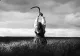 Pierdere uriașă anunțată de fanii Depeche Mode. Lumea artistică britanică deplânge pierderea