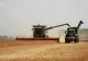 Ministrul Agriculturii, Florin Barbu, l-a demis pe șeful APIA, Ionuț Lupu, din cauza întârzierilor la plată a subvenţiilor către fermieri şi a blocajului din sistem