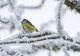 Prognoza meteo pentru următoarele 4 săptămâni. Cum vor evolua temperaturile
