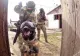 Armata Română caută parușutiști de COMANDO pentru trupele speciale. Ce calități li se cer candidaților? - VIDEO