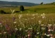 Un loc din România a ajuns în top 10 destinații turistice din lume în 2024. Apare în recomandările unei reviste prestigioase