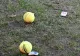 De ce sunt mingile de tenis păroase și cât de important este acest lucru? 