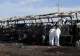 Impact violent între un autobuz cu pasageri și un camion cu marfă: cel puțin 19 morți, peste 20 de răniți