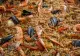 Dorul de Spania, alinat cu o rețetă delicioasă. Cum faci paella cu fructe de mare: rețeta clasică, plină de arome