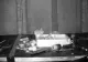 Șoricel filmat în timp ce făcea ordine în magazia unui bărbat în fiecare noapte. Video cu animalul harnic care a impresionat internetul
