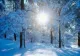 Europa, lovită de un ciclon: ninsori puternice și temperaturi extreme