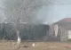 Incendiu la o fabrică de procesare a laptelui din Teleorman. Traficul pe DN 65A, îngreunat de fumul dens