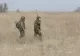 Câți bani vor primi românii care vor efectua serviciul militar voluntar