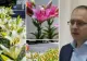 Câți bani a aruncat pe plante primarul amorezat din Botoșani. Edilul îndrăgostit a umplut orașul cu florile preferate ale amantei - FOTO
