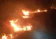 Incendiu masiv în Delta Neajlovului! Peste 50 de hectare au fost cuprinse de flăcări: zona mlăștinoasă, risc uriaș pentru pompieri