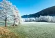 Vremea 9 februarie. Temperaturi anormale pentru această perioadă. Ce zone sunt vizate de ploi