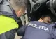 Prefectul de Olt anunţă că a găsit un dispozitiv de localizare prin GPS montat pe maşina sa
