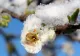 Val de aer tropical peste România: temperaturile urcă la 20 de grade Celsius! Unde continuă să ningă