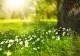 Prognoza meteo pentru următoarele patru săptămâni. Cum vor evolua temperaturile pe parcursul lunii martie