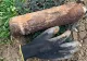 Proiectil din Al Doilea Război Mondial, descoperit în cimitir de un gropar