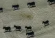 Iluzia optică PERFECTĂ. Tu faci diferența între animale și umbrele lor?