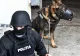 Poliția Română, mobilizare de la prima oră: 140 de percheziții în mai multe dosare penale - trafic de droguri, pornografie infantilă, evaziune fiscală