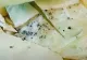 Un copil a făcut toxiinfecție alimentară după ce a mâncat un sandwich cu varză stricată și muște, la școală - VIDEO