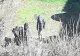 Elevi surprinși în timp ce se drogau într-un parc din Cluj, în plină zi. Scene dramatice