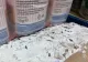 Magazin Lidl, închis temporar de ANPC după ce au fost descoperite nereguli grave! Printre ele, excremente de şoareci, dar şi capcane cu lipici