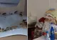 Șoareci, gândaci și mucegai, în cantina unui liceu din Timișoara - VIDEO