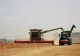 Guvernul înregistrează cel mai mare sprijin acordat producătorilor agricoli în ultimii 34 de ani