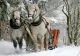 Prognoza meteo pe o lună: temperaturi în creștere, apoi lovește GERUL. Cum va fi vremea până pe 27 ianuarie