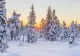 Informare meteo de fenomene periculoase: temperaturile scad cu până la 15 grade Celsius! Revin ninsorile, iar vântul puternic sporește senzația de rece