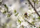Vremea se schimbă radical în următoarele două săptămâni: temperaturi surprinzătoare. ANM a emis prognoza completă