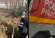 Alertă în Vâlcea, după ce au fost descoperite zeci de proiectile din Al Doilea Război Mondial