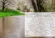 Cod portocaliu de inundații, se așteaptă viituri în două județe. Alerte pe toate râurile din Dobrogea