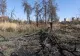 Zona retrocedată din Parcul IOR se degradează pe zi ce trece. Cum ar putea schimba situația o hotărâre de Consiliu adoptată la propunerea PNL Sector 3 și ce spun oamenii