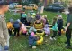 ”Săptămâna verde” la ”Dumbrava Minunată”, alături de reprezentanții Sectorului 4 - FOTO
