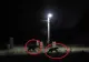 Doi urși, filmați plimbându-se liniștiți pe străzile din Mureș. Localnicii au alertat autoritățile VIDEO 