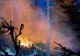Incendiul de pădure din zona Lăpuşna s-a extins pe circa 40 de hectare din cauza vântului. Forțele de intervenție la fața locului, suplimentate