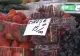 Au apărut primele cireșe românești. Fructele se vând la BUCATĂ din cauza prețului mare