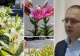 Primarul din Botoșani care a umplut orașul de flori pentru amantă vrea un nou mandat. Andrei Cosmin, acuzat că a fraudat concursuri de angajare