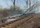 Trafic feroviar blocat complet. A izbucnit un incendiu, după ce mai mulți copaci au căzut peste linia de contact și peste șine