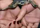 Sora fostului ministru de Interne, Carmen Dan, reținută 24 de ore în dosarul de înșelăciune în care este cercetată
