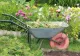 Femeie de 76 de ani, din Brașov, amendată cu 100 de lei pentru că a plantat flori în grădina blocului